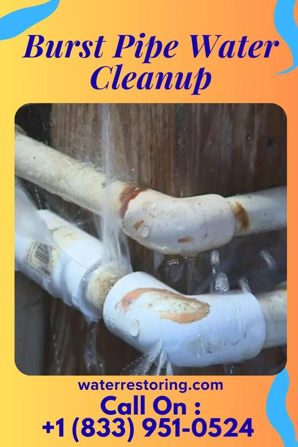 Burst Pipe Water Cleanup in Kahaluu, HI