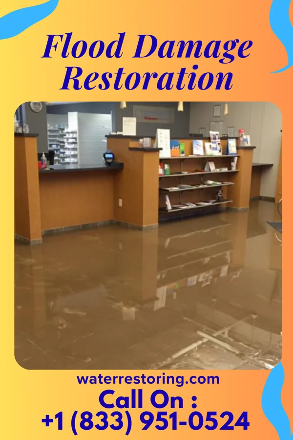 Flood Damage Restoration in Kahaluu, HI