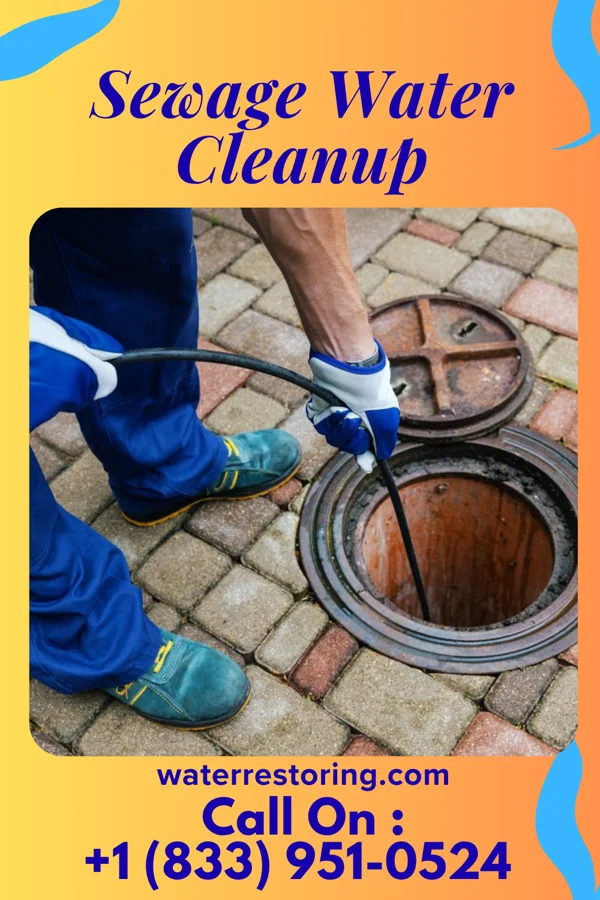 Sewage Water Cleanup in Kahaluu, HI