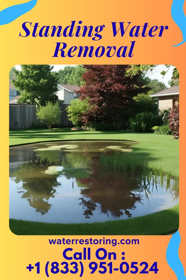Standing Water Removal in Kahaluu, HI
